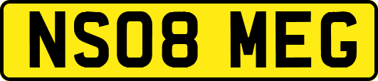 NS08MEG
