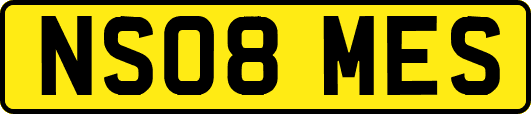 NS08MES