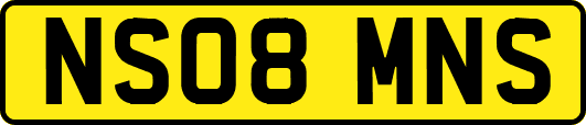 NS08MNS