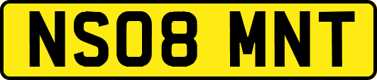 NS08MNT