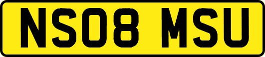 NS08MSU