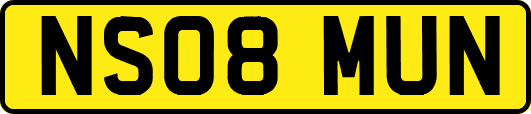 NS08MUN