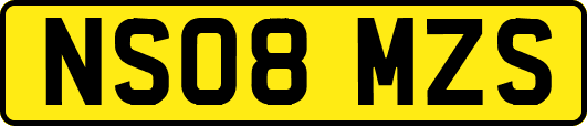 NS08MZS