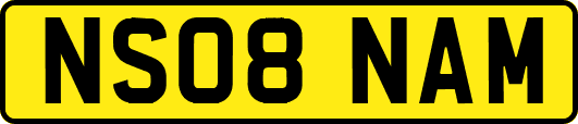 NS08NAM