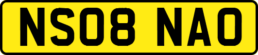 NS08NAO