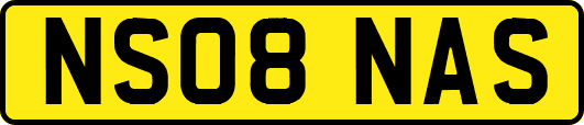 NS08NAS