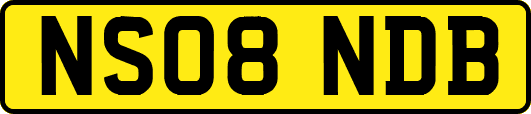 NS08NDB