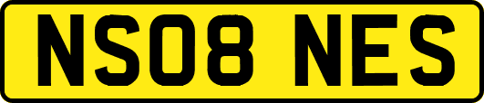NS08NES
