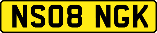 NS08NGK