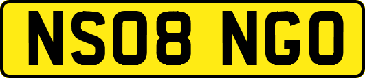 NS08NGO