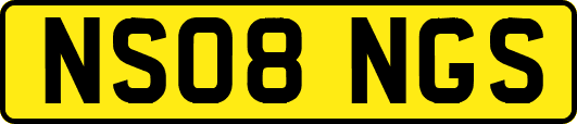 NS08NGS