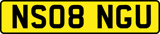 NS08NGU
