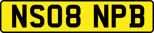 NS08NPB
