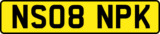 NS08NPK