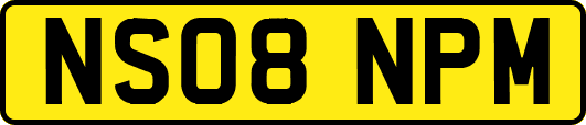 NS08NPM
