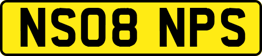 NS08NPS