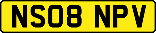 NS08NPV