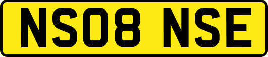 NS08NSE