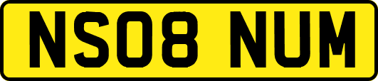 NS08NUM