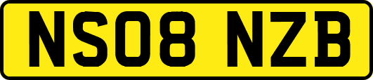 NS08NZB