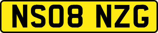 NS08NZG