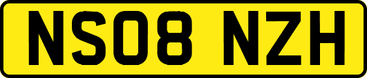 NS08NZH
