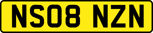 NS08NZN