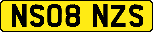 NS08NZS
