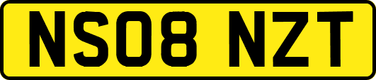 NS08NZT
