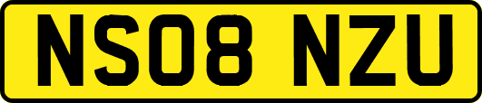 NS08NZU