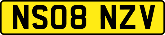 NS08NZV