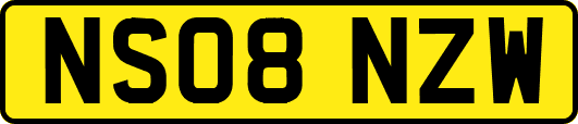 NS08NZW