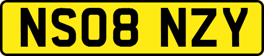 NS08NZY