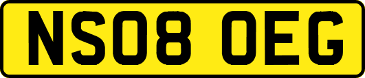 NS08OEG
