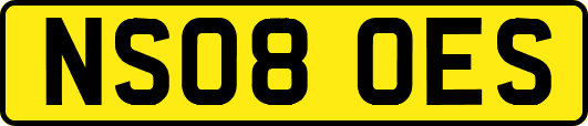 NS08OES