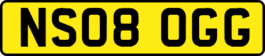 NS08OGG