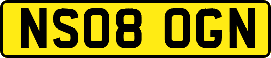 NS08OGN