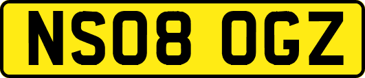 NS08OGZ