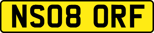 NS08ORF