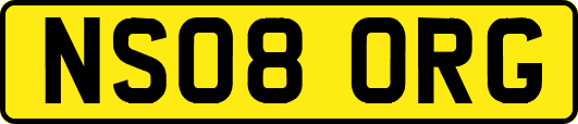 NS08ORG