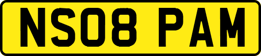 NS08PAM