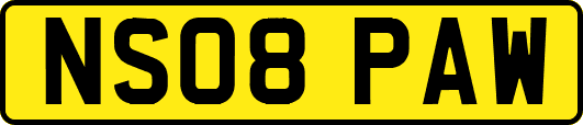 NS08PAW