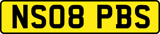NS08PBS