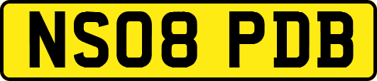 NS08PDB