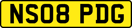 NS08PDG