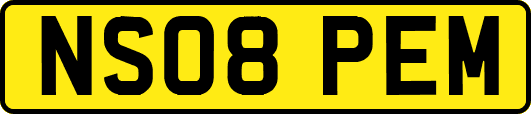 NS08PEM