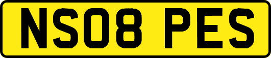 NS08PES