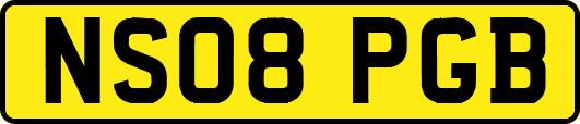 NS08PGB