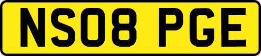 NS08PGE