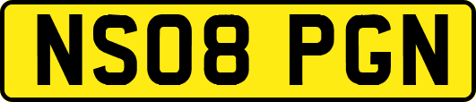 NS08PGN